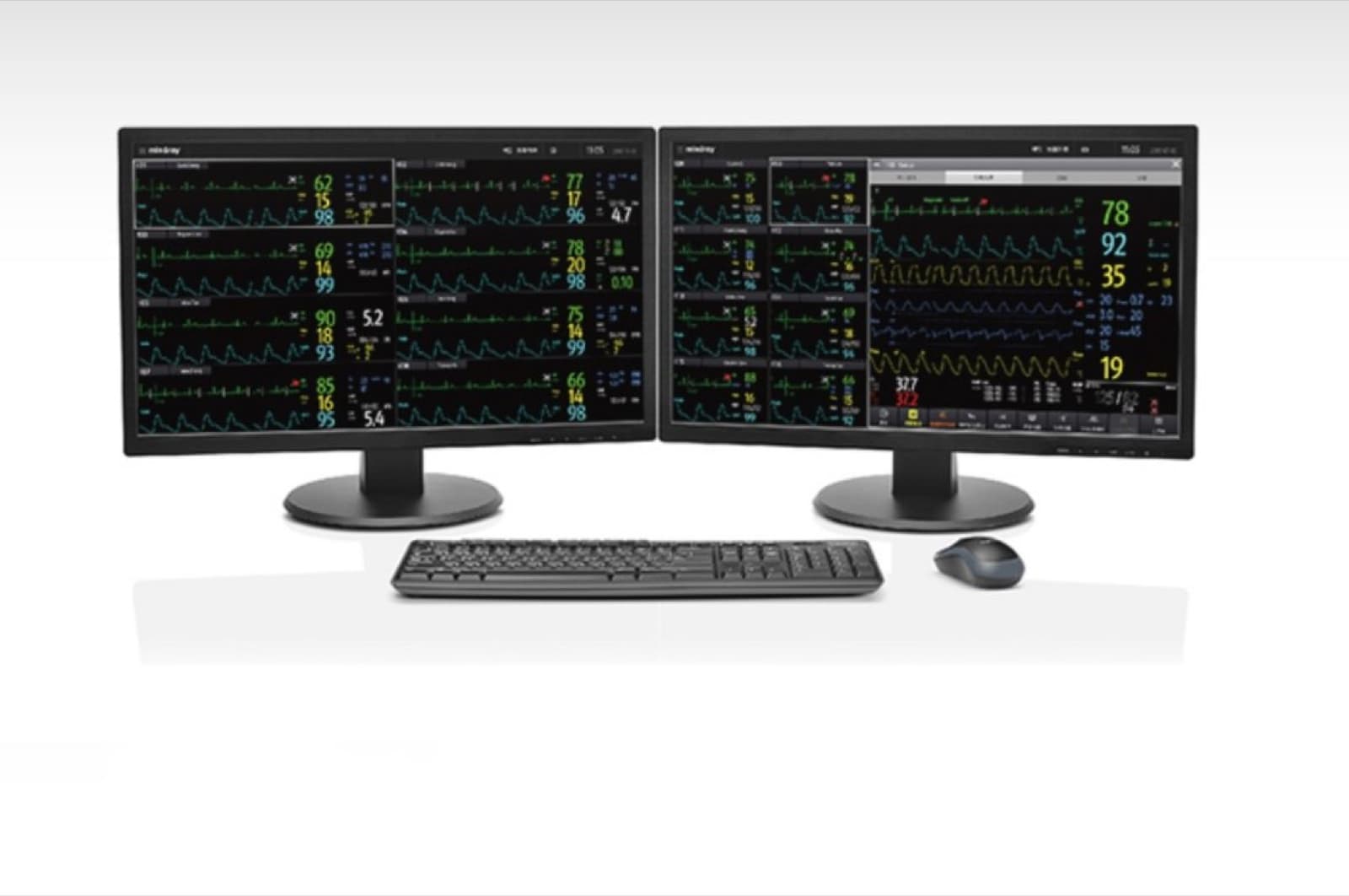 Mindray BeneVision CMS Vet